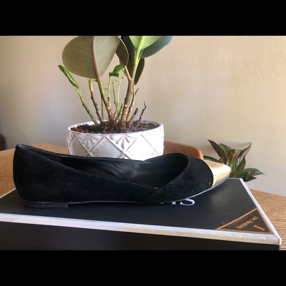 Black Suede Cap Pointed Toe Flats